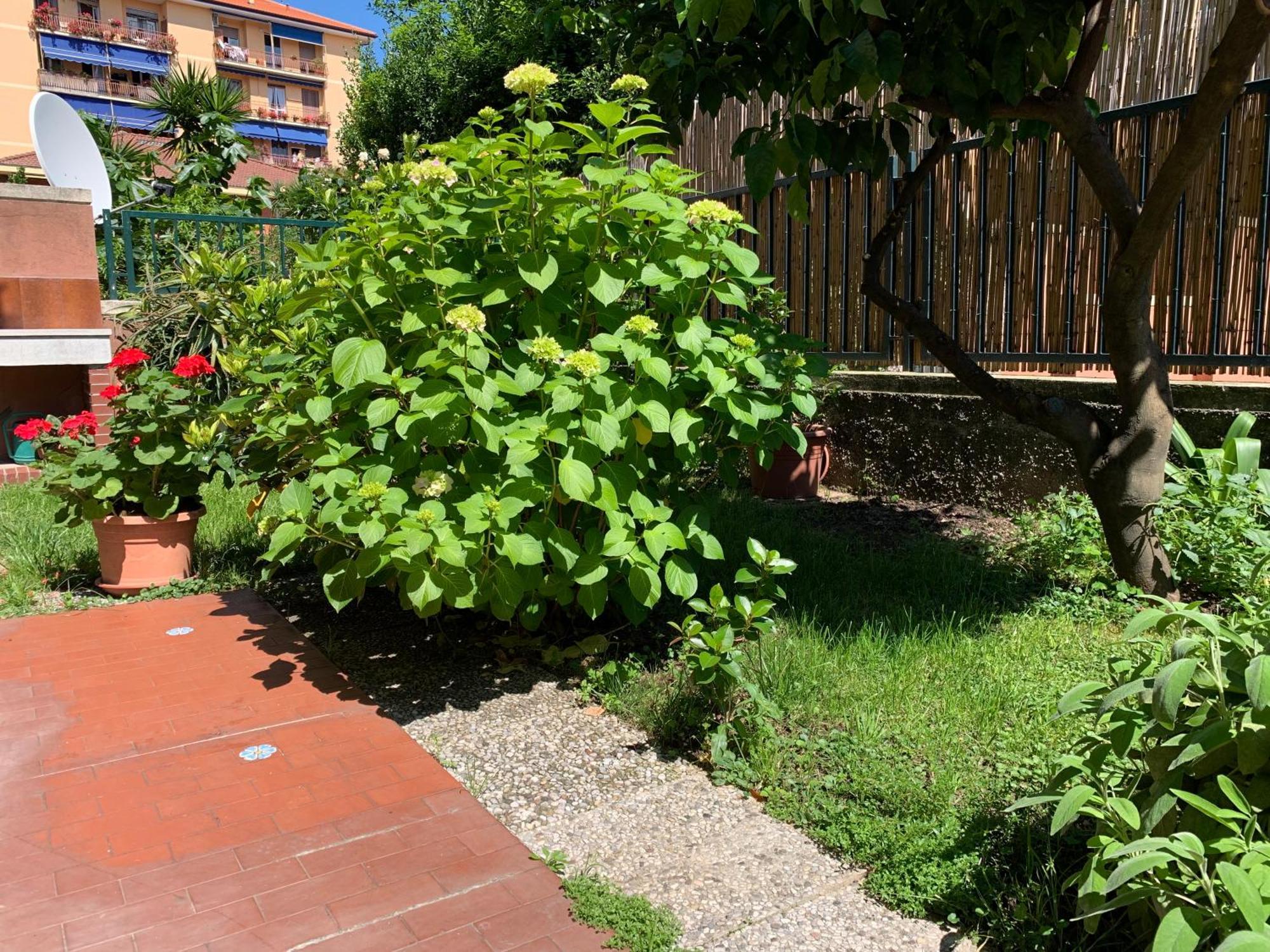 Il Giardino Dei Limoni Appartement Chiavari Buitenkant foto